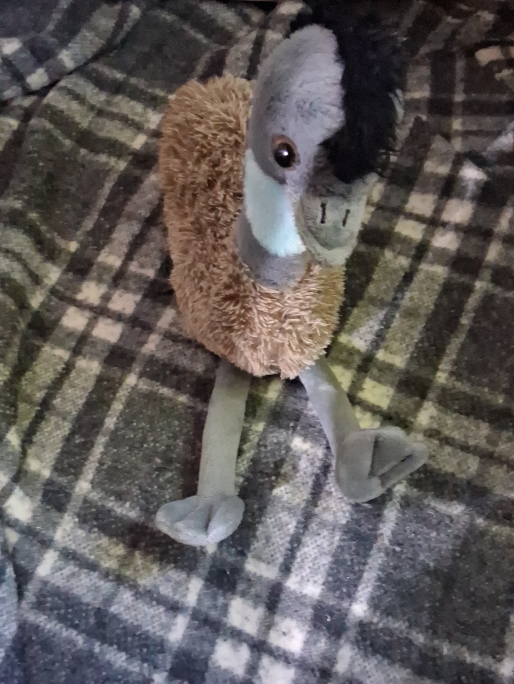 Emu
